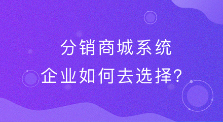 分销商城系统，企业如何去选择？
