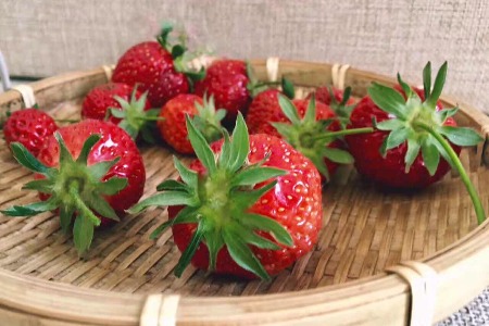 互联网下的“传统菜市场”