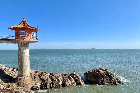 什么样的共享经济企业能走向成功？