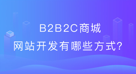 分享b2b2c商城网站开发有哪些方式