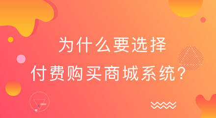 为什么要选择付费购买网上商城系统？原因都在这！