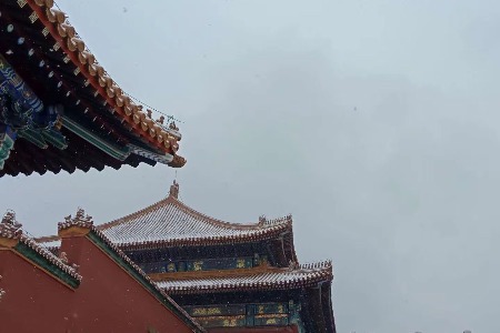 新消费时代如何实现精耕细作？