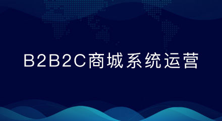 b2b2c商城系统怎样才能留住新用户?这里给你支招!