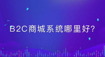 b2c商城系统哪里好？看完这篇你就知道了！