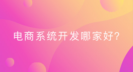 b2b2c电商平台系统开发哪家好?