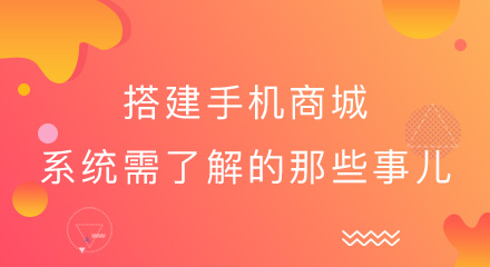 涨知识!新手搭建手机商城系统须了解的事儿