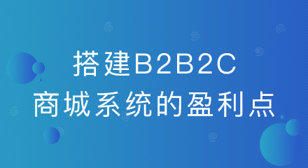 企业搭建b2b2c商城系统的盈利点有哪些?