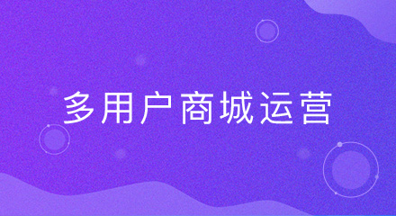 这些多用户商城运营方案,你都知道吗?