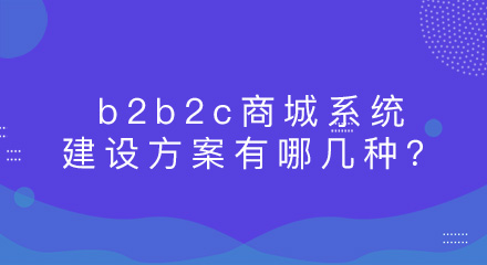 b2b2c商城系统建设方案有哪几种?