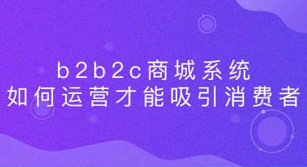 b2b2c商城系统如何运营才能吸引消费者?