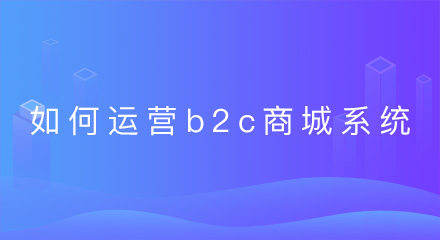 企业如何运营b2c商城系统？