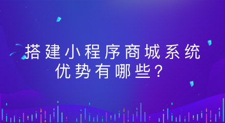 搭建小程序商城系统优势有哪些？