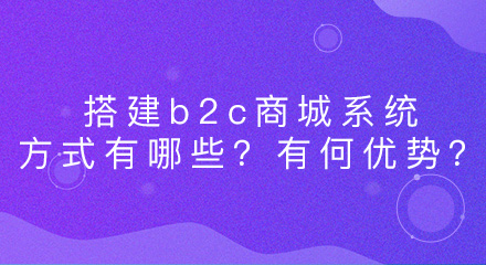 搭建b2c商城系统的方式有哪些?有何优势?