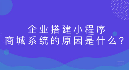 企业搭建小程序商城系统的原因是什么?