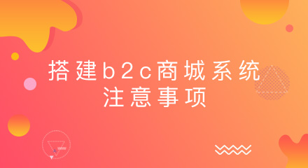 企业搭建b2c商城系统应注意哪些事项？