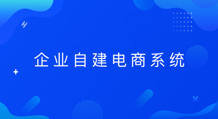 企业为什么要自建电商系统？