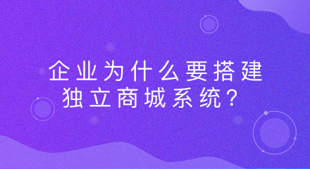 企业为什么要搭建独立商城系统?