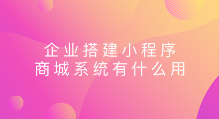 企业搭建小程序商城系统有什么用?