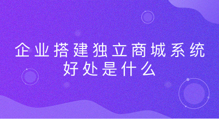 企业搭建独立商城系统的好处是什么?