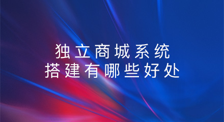 独立商城系统的搭建有哪些好处?