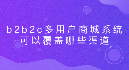 b2b2c多用户商城系统可以覆盖哪些渠道？