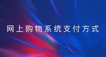 网上购物系统的支付方式有哪些?