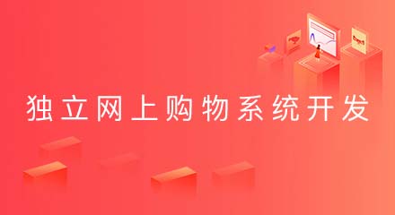 企业开发一个独立网上购物系统的原因是什么?