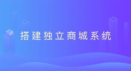 企业选择搭建一个独立商城系统的原因有哪些?