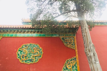 连续十个涨停板 良品铺子市值达162亿元