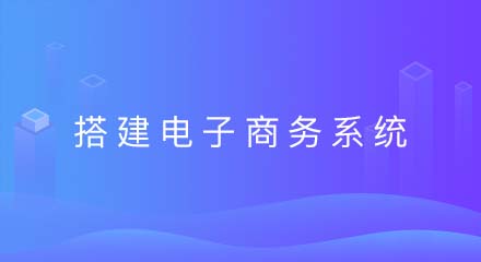 企业为什么要自建电子商务系统?