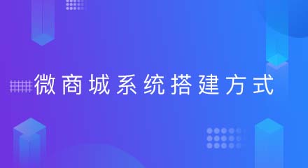 微商城系统的搭建方式有哪些?