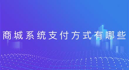 商城系统的第三方支付方式有哪些?