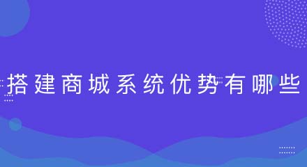 搭建商城系统的优势有哪些？