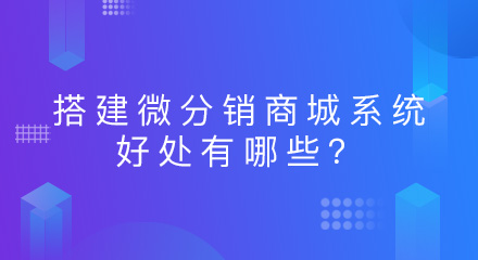 搭建微分销商城系统的好处有哪些?