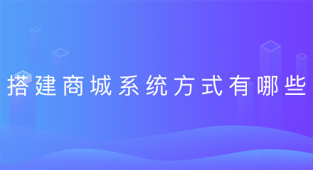 搭建商城系统的方式有哪些?
