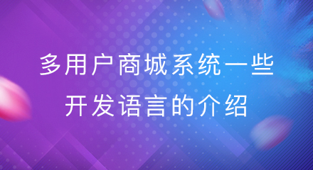 多用户商城系统一些开发语言的介绍