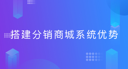 搭建分销商城系统优势