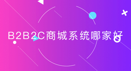 b2b2c商城系统哪家好?