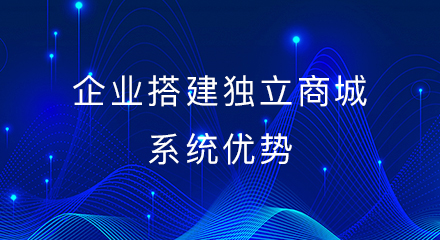 企业搭建独立商城系统优势