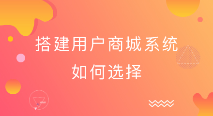 搭建用户商城系统如何选择?从这几点入手!