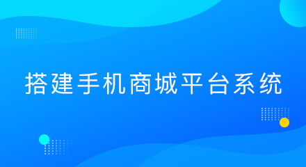 搭建手机商城平台系统优势