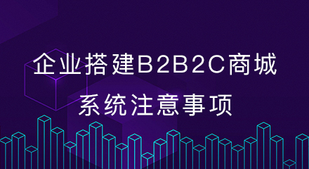 企业搭建b2b2c商城系统注意事项