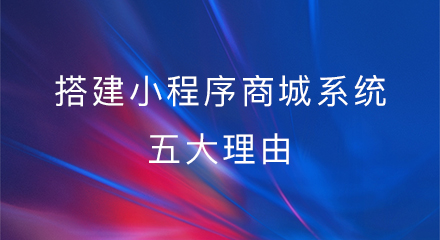 搭建小程序商城系统五大理由!