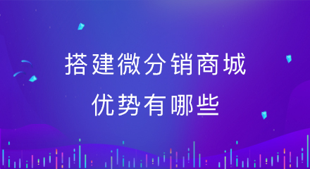 搭建微分销商城优势有哪些?