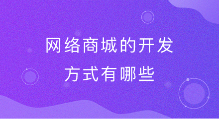 网络商城的开发方式有哪些?