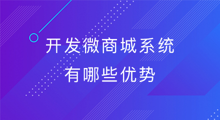 开发微商城系统有哪些优势?