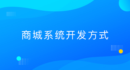 商城系统开发方式