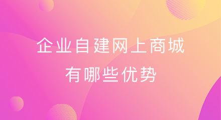 企业自建网上商城有哪些优势
