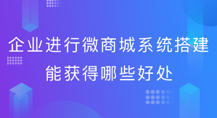 企业进行微商城系统搭建能获得哪些好处?