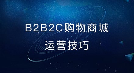 b2b2c购物商城运营技巧